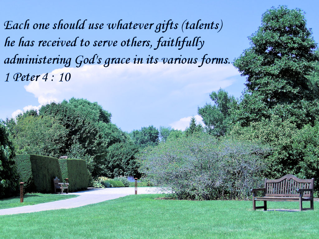 Used on 
Stewardship